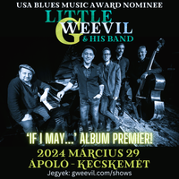 Little G Weevil and his band - 'If I May...' album premier 