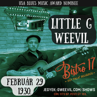 Little G Weevil solo show