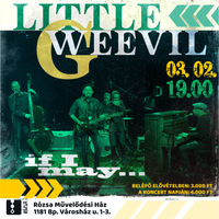 Little G Weevil and his band - 'If I May...' album premier 