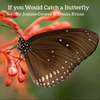 If You Would Catch a Butterfly