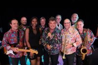 SOLD OUT - Ricky Sylvia and the Buzzcatz: 70s Gold 9/30/2023