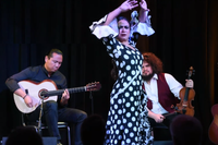 Winter Park Library Series - Blue Bamboo presents Don Soledad - Arte y Pasión, an Evening of Flamenco