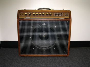 The Acoustic amplifier company put out this "lawsuit" Boogie Mk-II clone just before it sank beneath the surface. I believe Aspen Pittman (of Groove Tubes fame) was behind this model. A raging 100-watt beast with a great overdrive channel.
