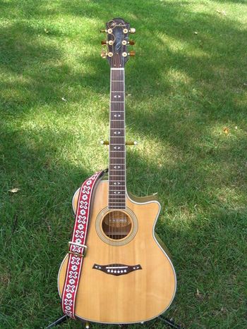 The Hohner "O" series, model EA65CEQ, serial # 2054000011. This guitar has an amazingly even-balanced tone, comparable to a Martin OM. The electronics are poor, but the acoustic sound is awesome. If you'd like to hear it in action, I'm playing this for the primary rhythm guitar on "Sweet Hollow Road."
