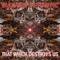 That Which Destroys Us by Sleeping In Traffic