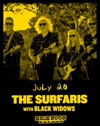 Surfaris Concert - Madison, WI!