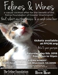 Kitty Fundraiser with FFGW!!