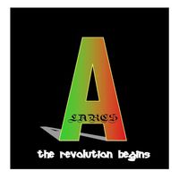 The Revolution Begins by A. Larcs