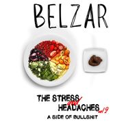 The Stress and Headaches Vol. 2 A Side of Bullshit by Belzar