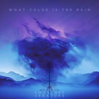 What Color Is The Rain by The smallest Creature
