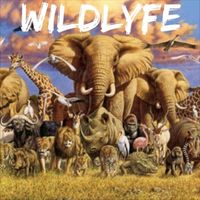 Wildlyfe EP by Wildlyfe