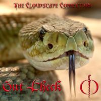 Gut Check by The Cloudscape Connection