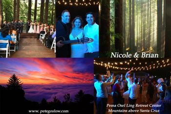 Santa Cruz Mountains - Nicole & Brian
