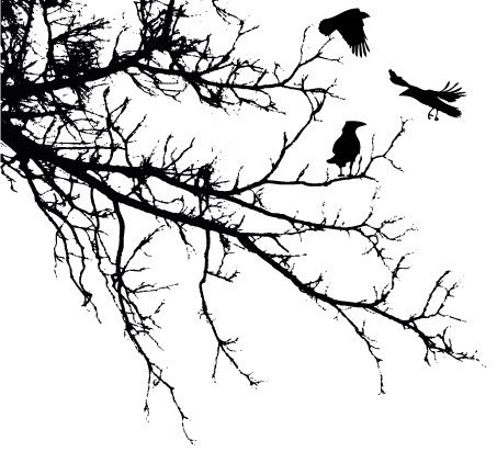 Ravens Three
