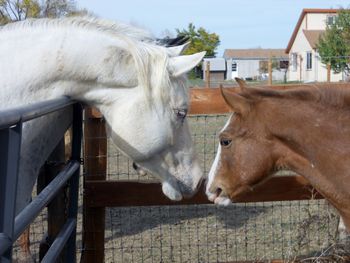 China and Jack
