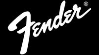 The Fender Stratocaster's 70th Birthday Party!