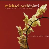 Chasing After Light by Michael Occhipinti 