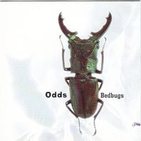 Bedbugs by Odds