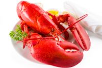 Vernon Rotary Lobster Fest