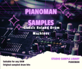 Pianoman Samples - Classic Roland Drum Machines