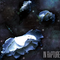 In Rapture: CD