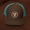 Ned LeDoux Gray/Teal Mesh Baseball Cap