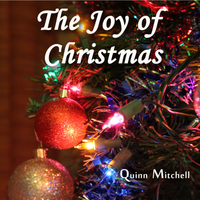 The Joy of Christmas by Quinn Mitchell