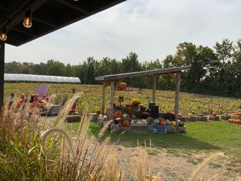 Ferme Marineau à Laval ! Un stage à l’air frais pendant que les gens cueillent leurs fruits.
