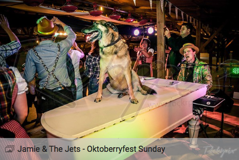 Jamie & the Jets - Oktoberryfest Sun