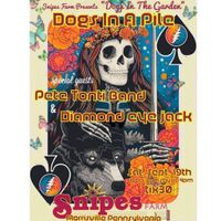 Diamond Eye Jack, Pete Tonti Band, Dogs in a Pile at Snipes Farm