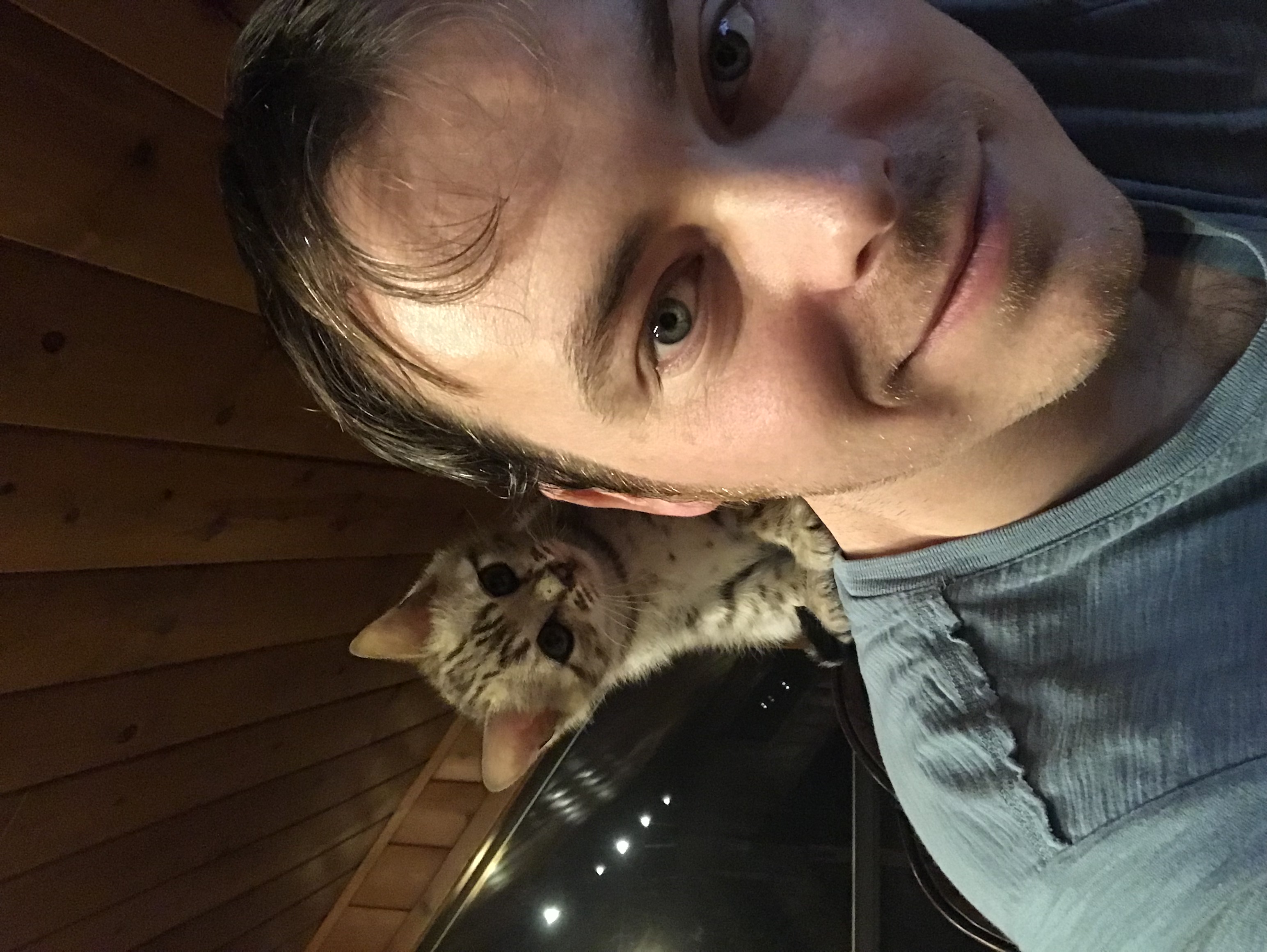 How do I know when I can move my kitten out of the Safe Room?