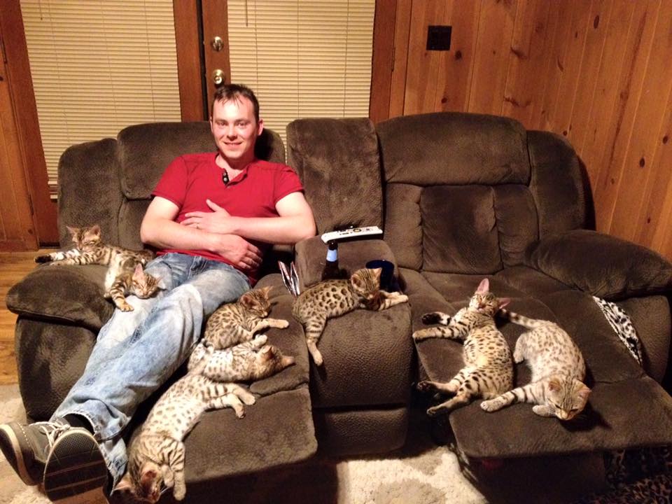 Do Bengals like to be Touched or Held?