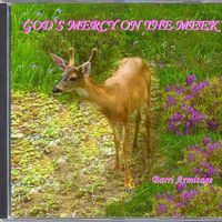 GOD'S MERCY ON THE MEEK by Barri Armitage