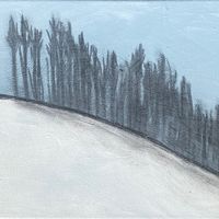 Frozen Pines