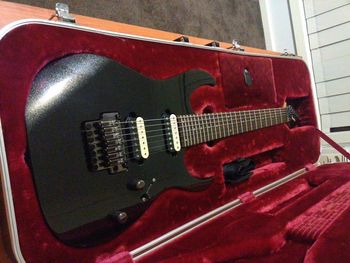 Ibanez RG1527 with Blaze and Air Norton HBs and Trem Blocker
