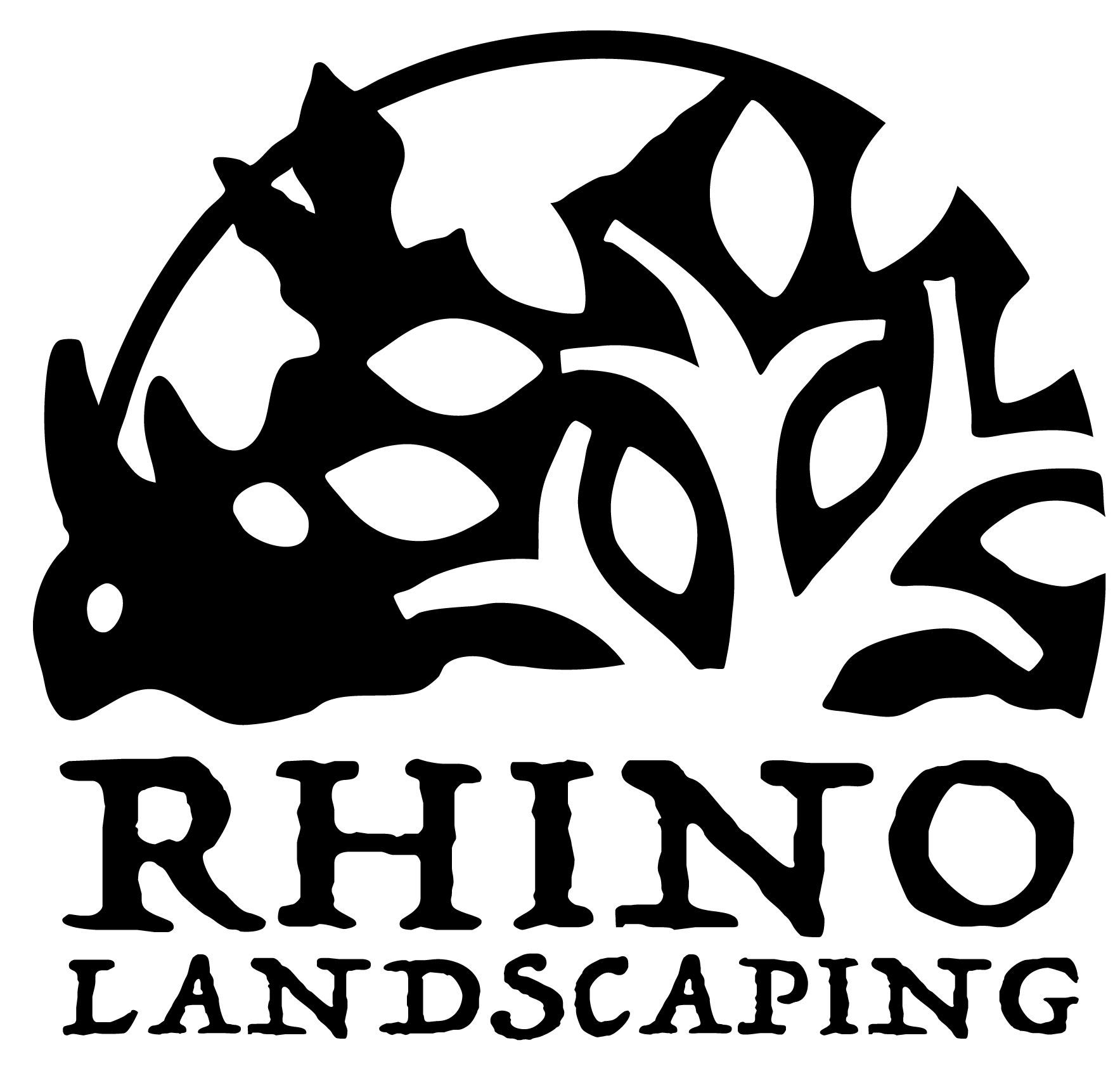 Rhino Designs