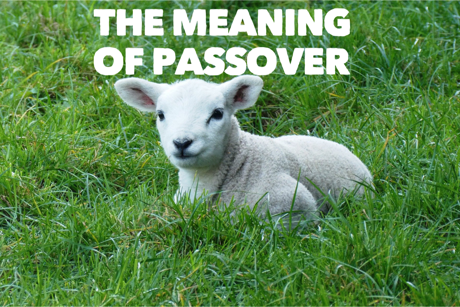 the real meaning of passover