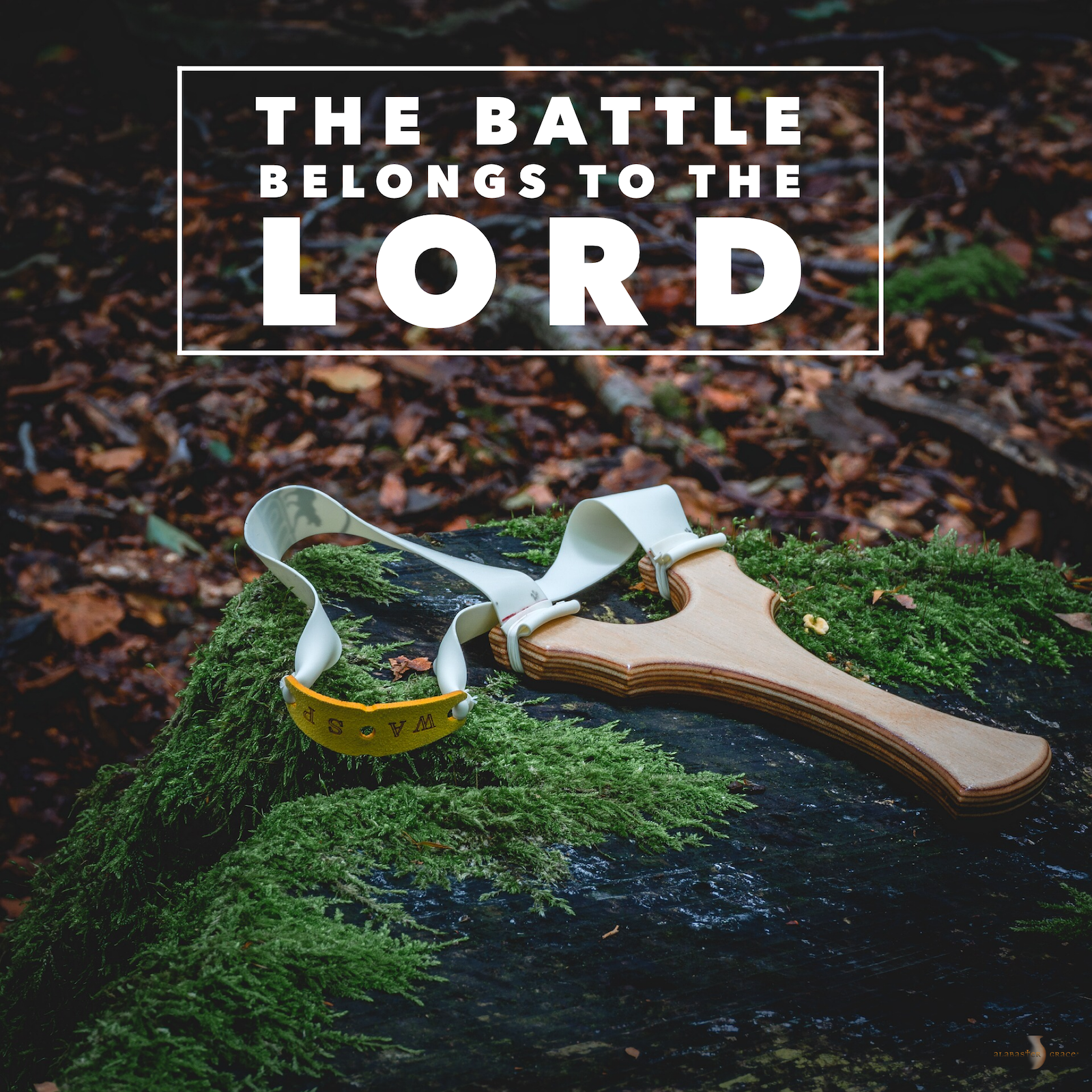 The Battle Belongs To The Lord by plushism