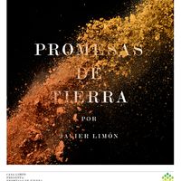 ***15th Latin GRAMMY Best Engineered Album: Promesas de Tierra by Javier Limón