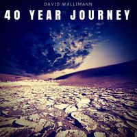 40 Year Journey (feat. Dweezil Zappa) by David Wallimann