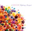 Highway Bouquet: CD