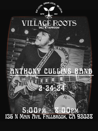 Anthony Cullins live at Village Roots! 