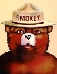 Smokey Bear's 73rd birthday party