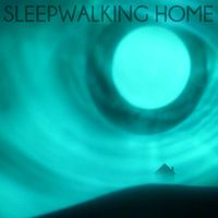 Sleepwalking Home by Nigel Brown