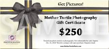 Mother Turtle Photography Gift Certificate 250