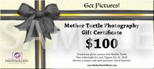 Mother Turtle Photography Gift Certificate 100