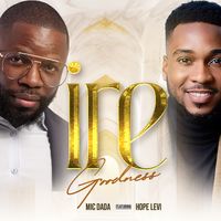 Ire by Mic Dada