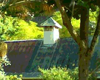 Photo/digital art-Waimea Valley, Hawaii
