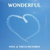 Wonderful: Wonderful CD