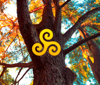 Workshop:  The spiral year - Celtic wisdom of the seasons